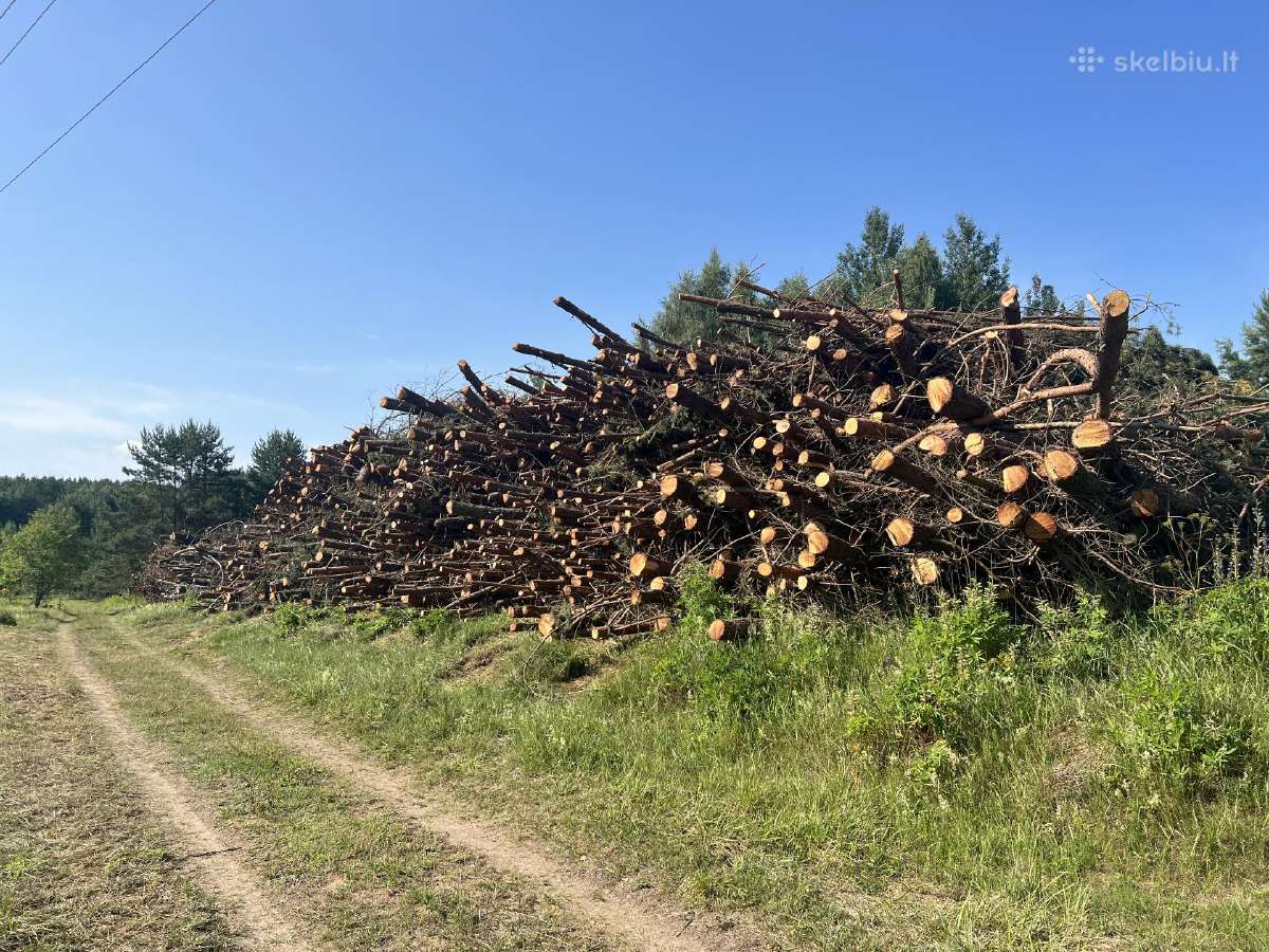 Krūmų, medžių kirtimas apleistose žemėse.primokame - nuotraukos Nr. 3
