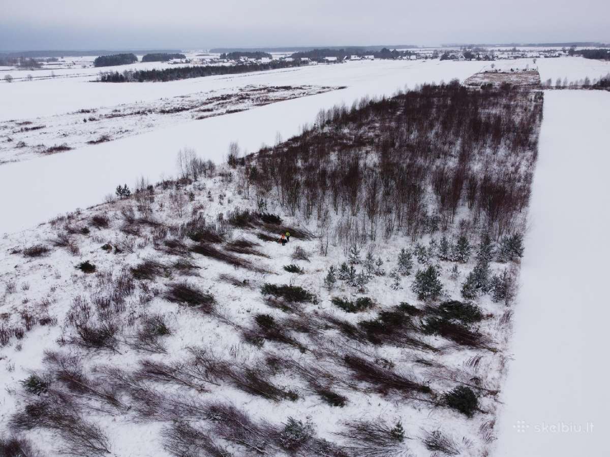 Krūmų, medžių kirtimas apleistose žemėse.primokame - nuotraukos Nr. 5
