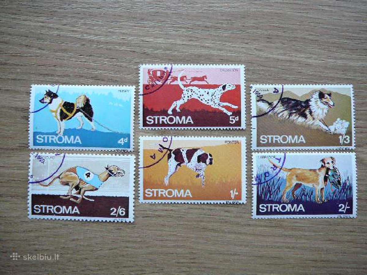 Sunys Stroma 1969 antsp. str85
