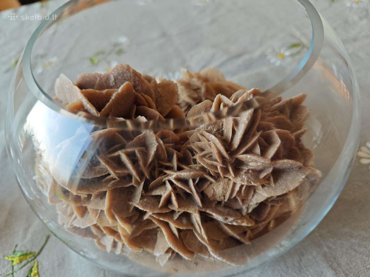 Smėlio rožė dykumų rožė