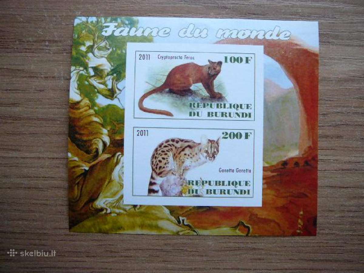 Kates laukines Burundis 2011 svarus g305b