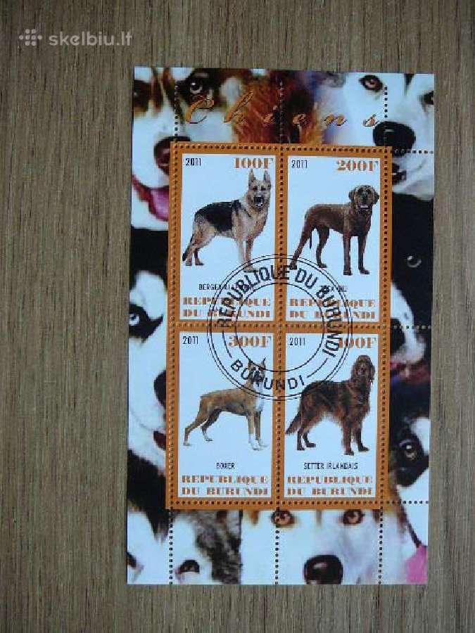 Sunys Burundis 2011 antsp. g394