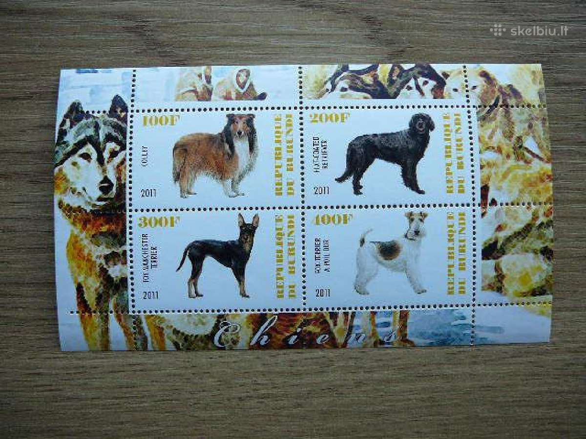 Sunys Burundis 2011 svarus g393a