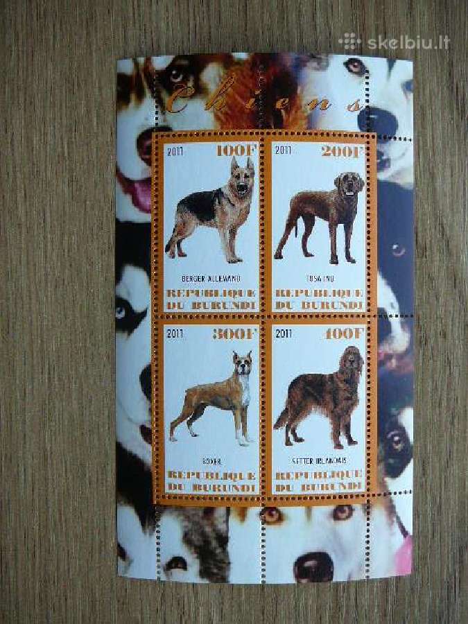 Sunys Burundis 2011 svarus g394a