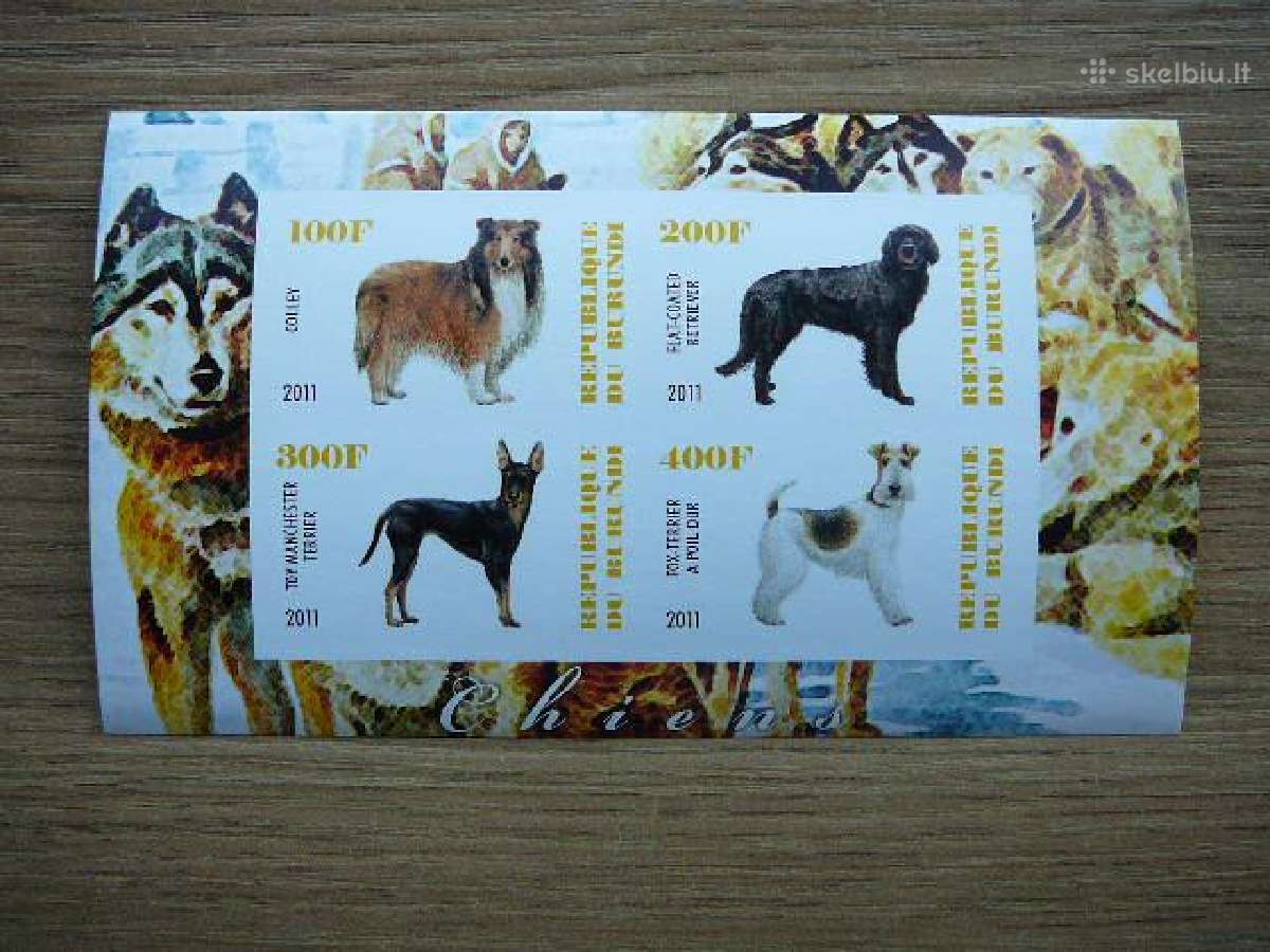 Sunys Burundis 2011 svarus g393b