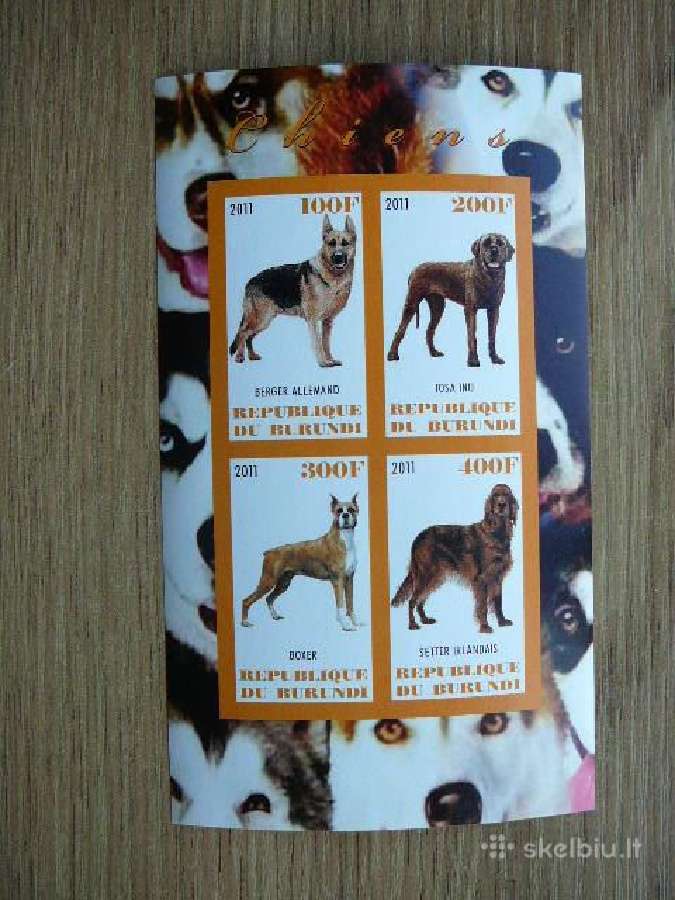 Sunys Burundis 2011 svarus g394b