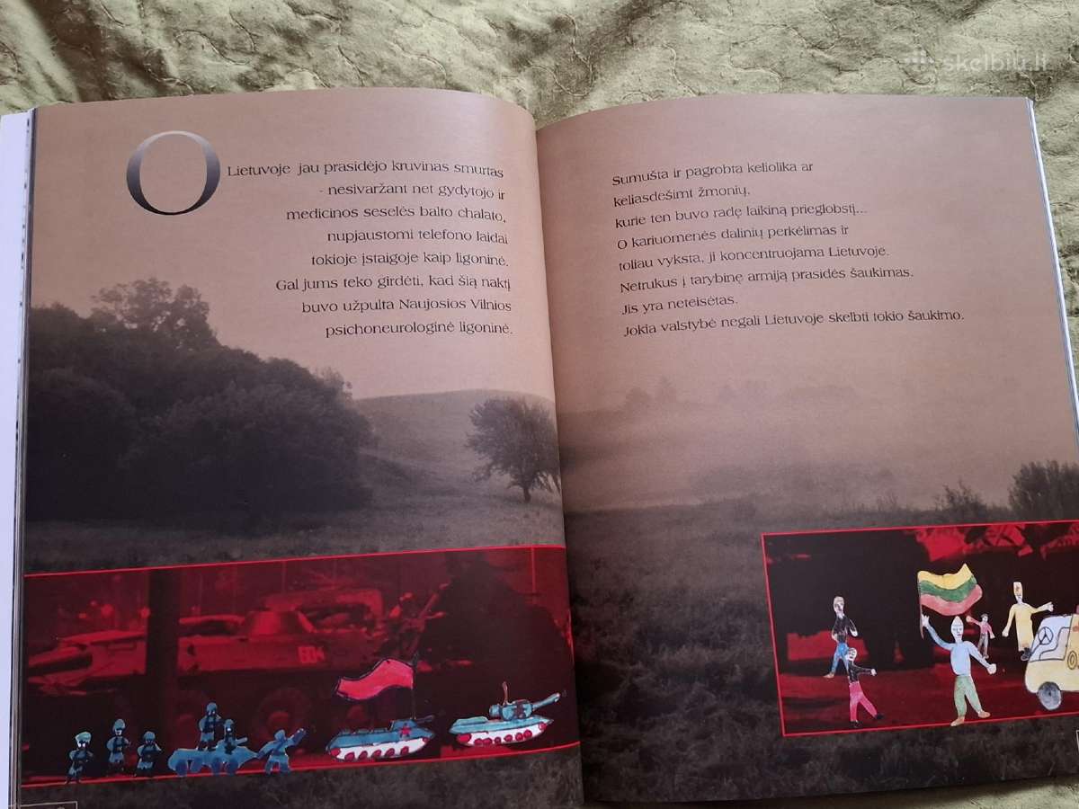 Bokšto gynimas - nuotraukos Nr. 7