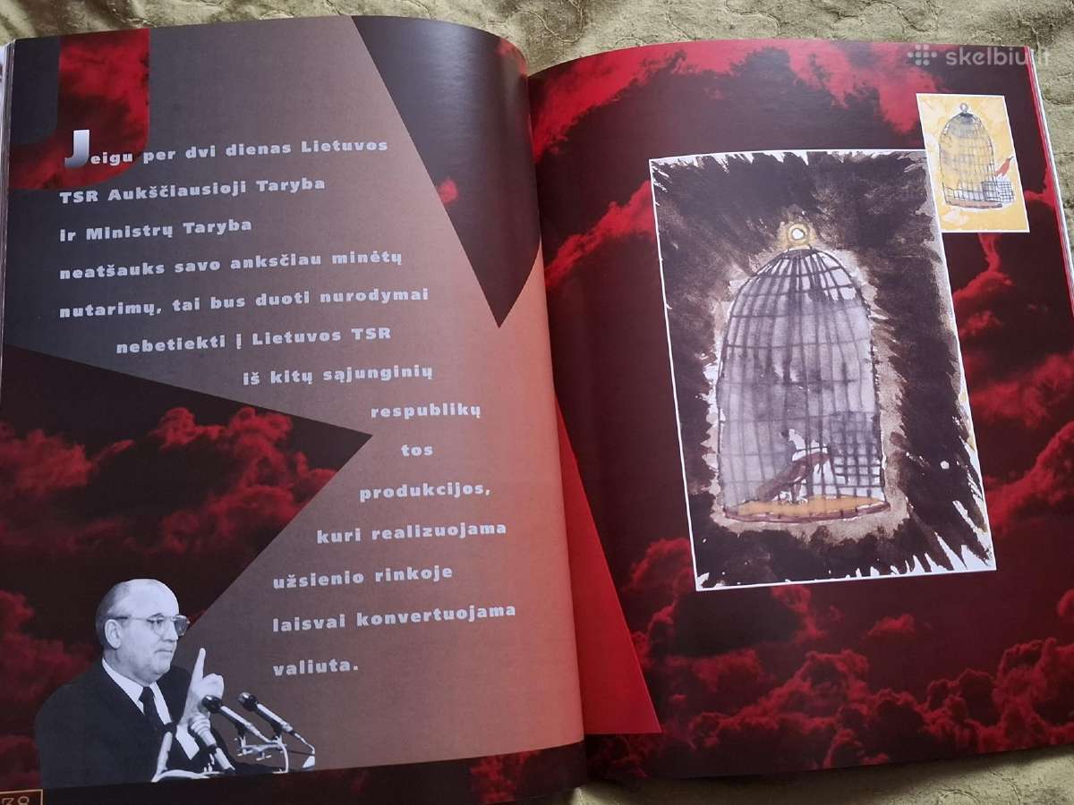 Bokšto gynimas - nuotraukos Nr. 8