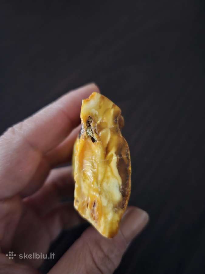 Baltijos gintaras