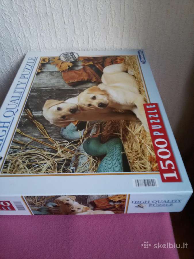 Vieną kartą statytos,arba nestatytos dėlionės - nuotraukos Nr. 27