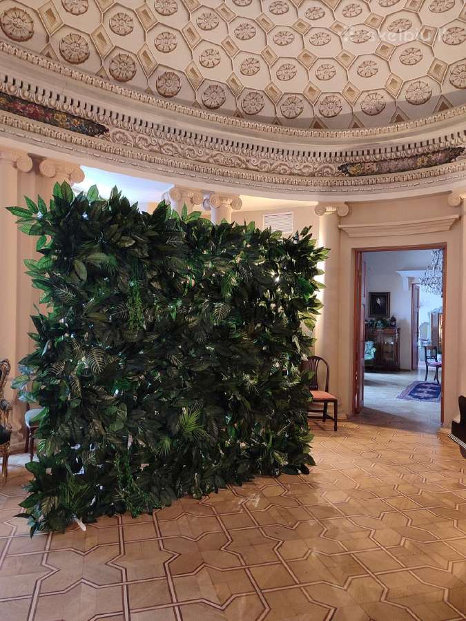 Fotosienelės ir dekoracijų nuoma