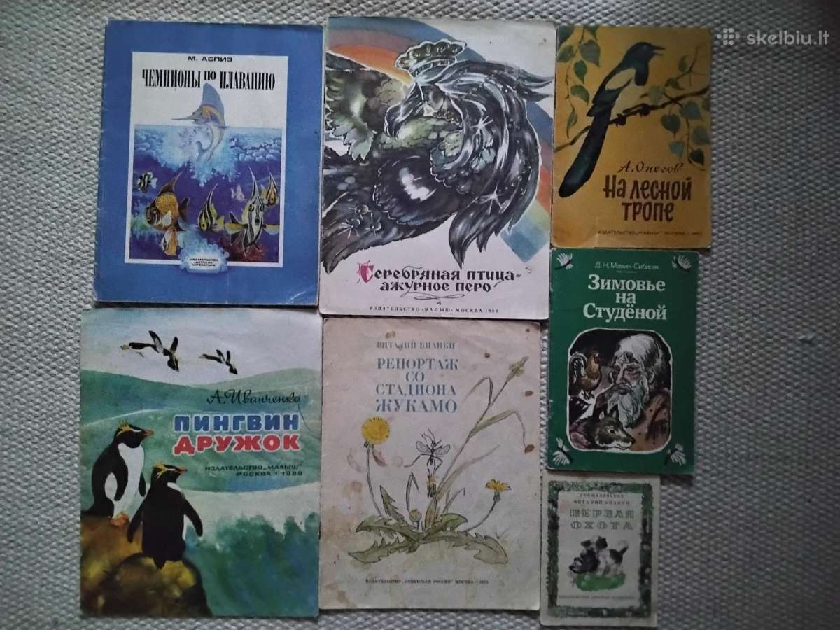 Kasetę dainuoja Irina Alegrova - nuotraukos Nr. 20
