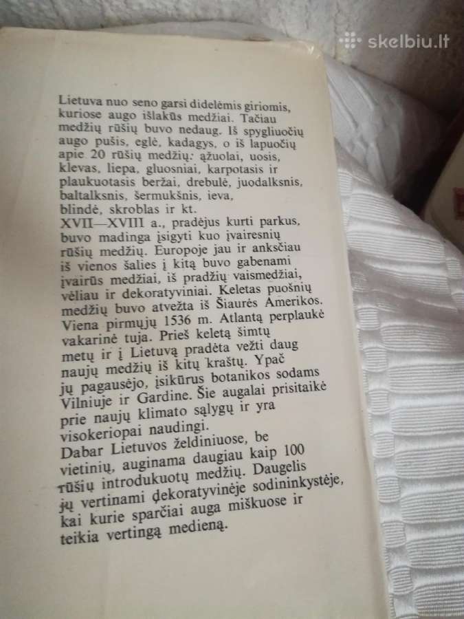 Sena knyga''lietuvos medžiai'' - nuotraukos Nr. 8