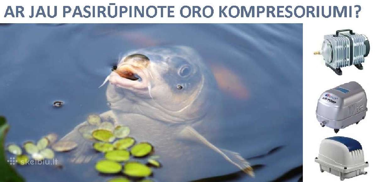 Aukštos Kokybės Orapūtės Tvenkiniui - nuotraukos Nr. 3