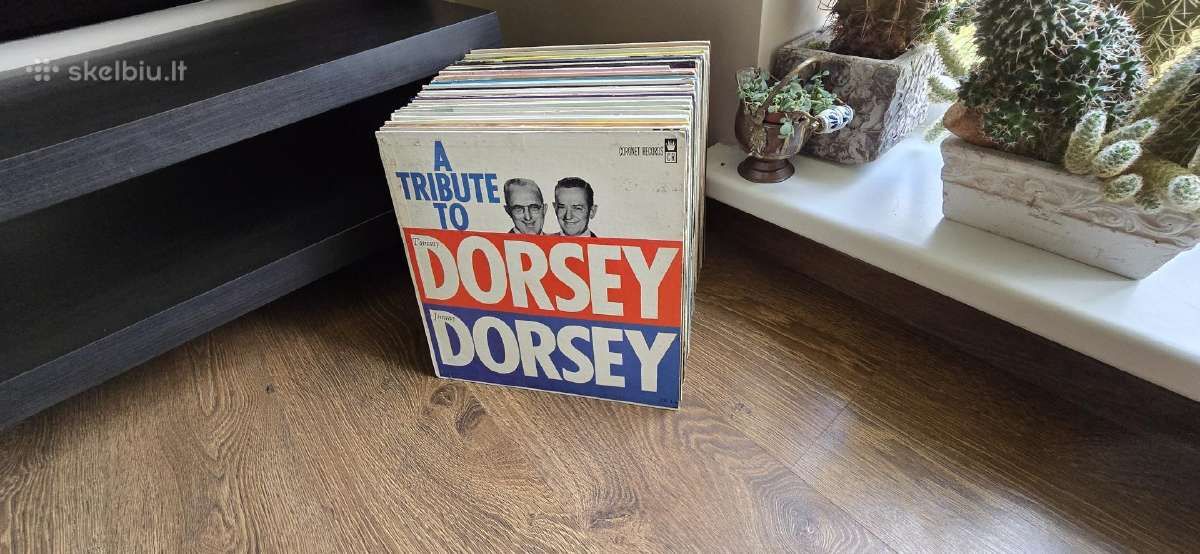 Vinilinės plokštelės - nuotraukos Nr. 12
