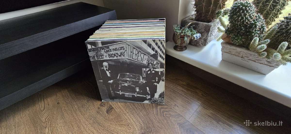 Vinilinės plokštelės - nuotraukos Nr. 28