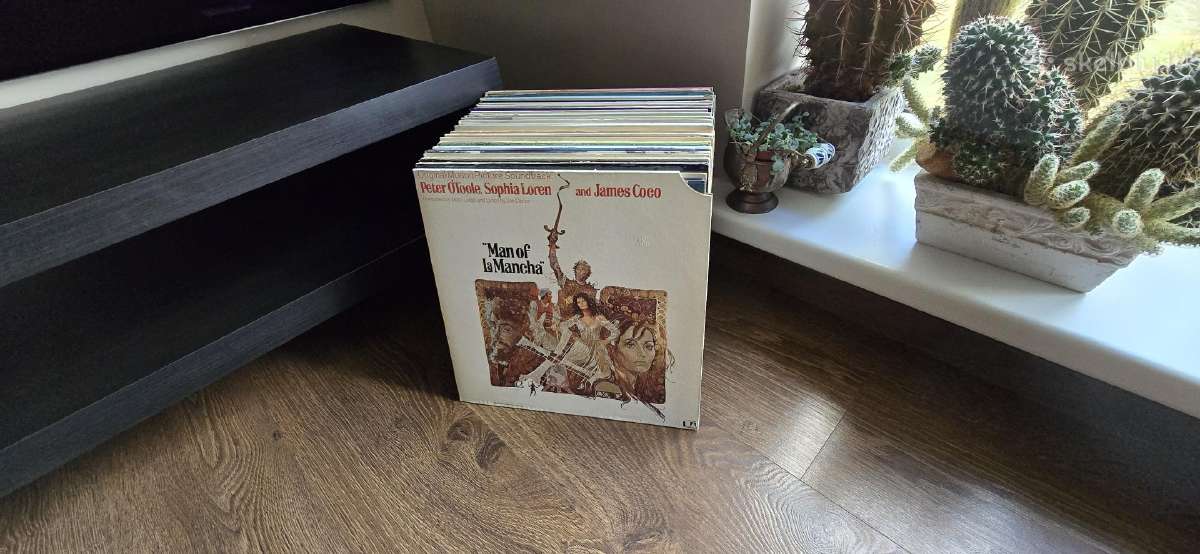 Vinilinės plokštelės - nuotraukos Nr. 31