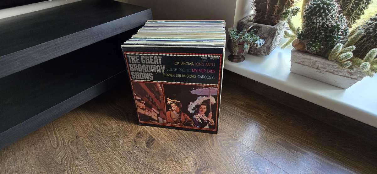 Vinilinės plokštelės - nuotraukos Nr. 32