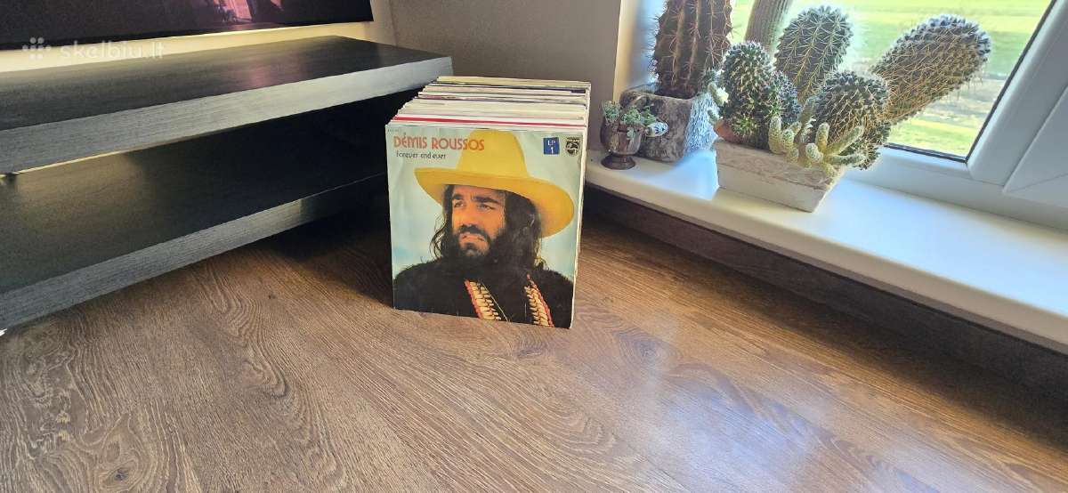 Vinilinės plokštelės - nuotraukos Nr. 24