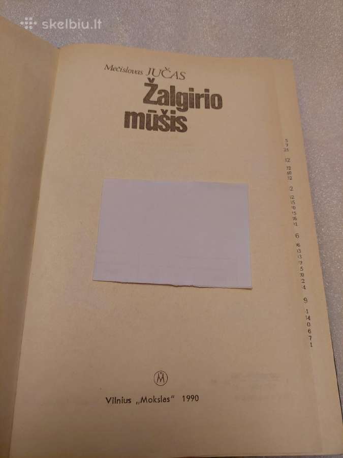 Žalgirio mūšis - nuotraukos Nr. 2