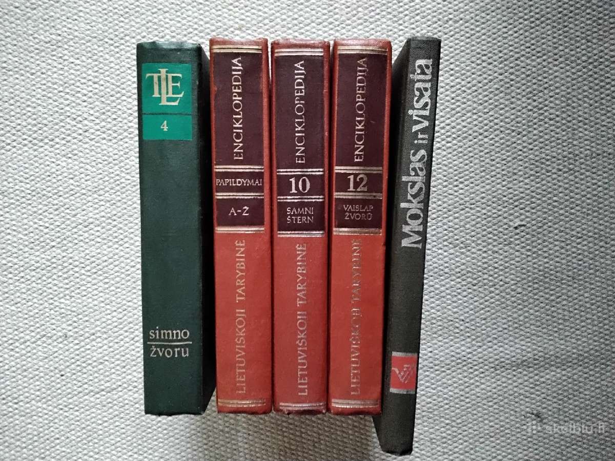 Tomo sojerio nuotykiai Markas Tvenas - nuotraukos Nr. 7