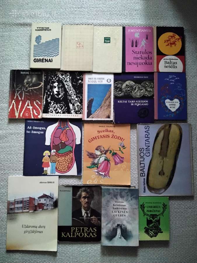 Tomo sojerio nuotykiai Markas Tvenas - nuotraukos Nr. 11