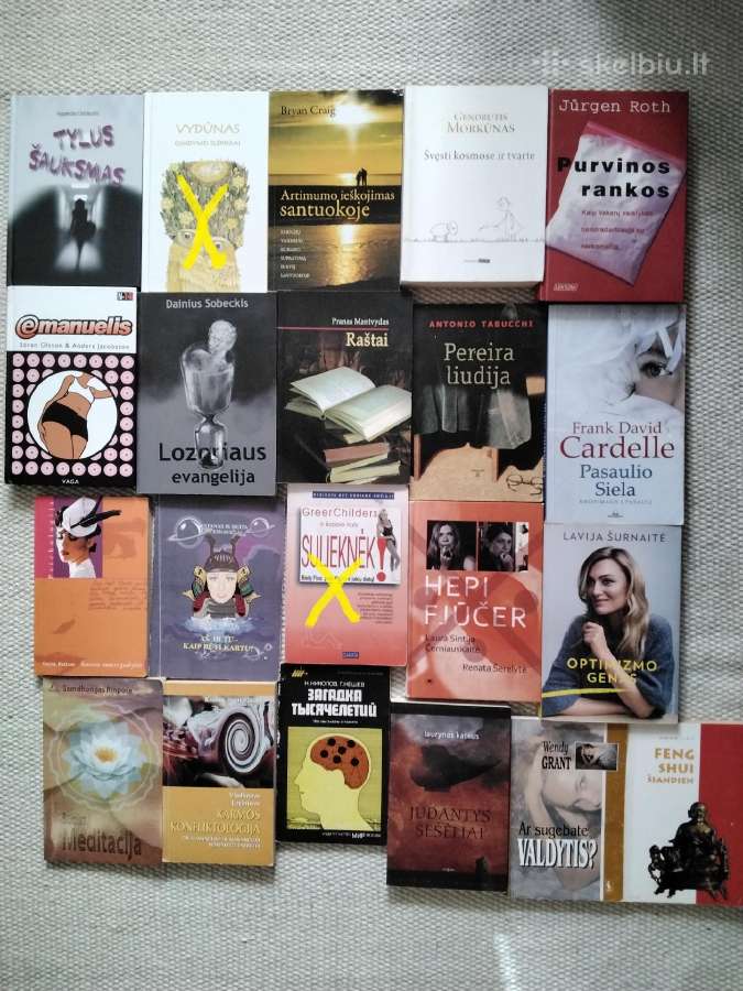 Kelionė namo: amerikiečio jogo autobiografija - nuotraukos Nr. 6