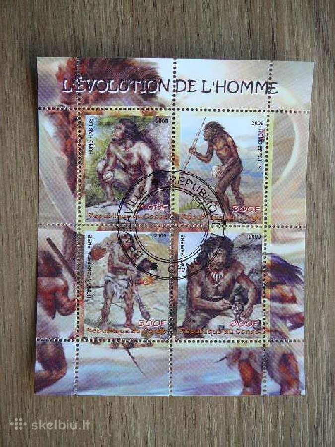 Homo Sapiens Kongas 2009 antsp. s429