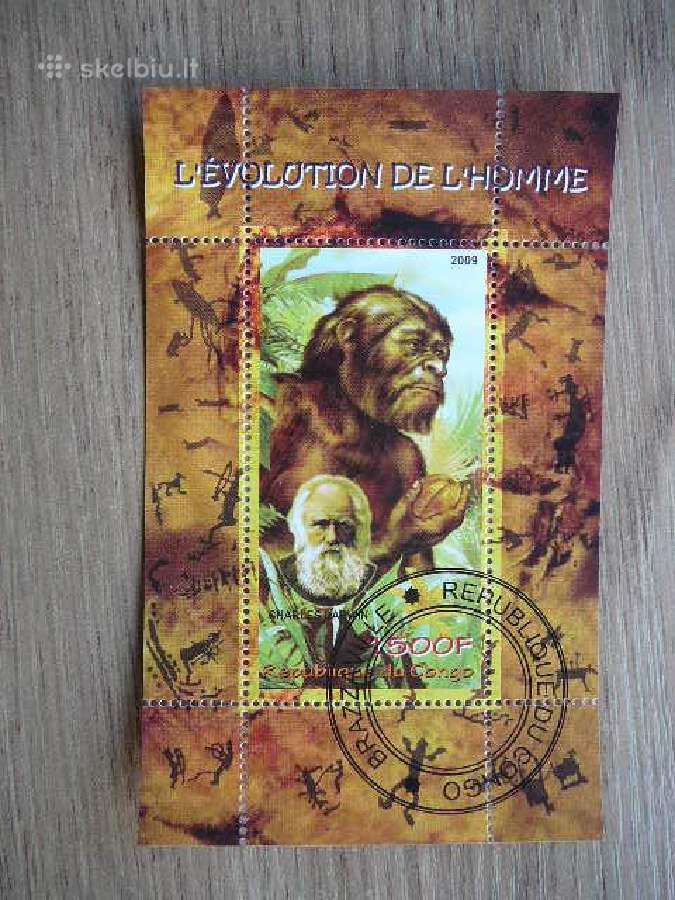 Homo Sapiens Ch. Darwinas Kongas 2009 antsp. s430