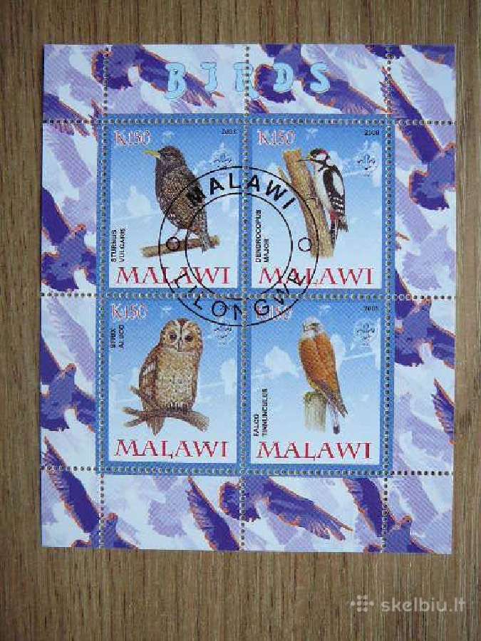 Peledos Ereliai Pauksciai Malavis 2008 s254