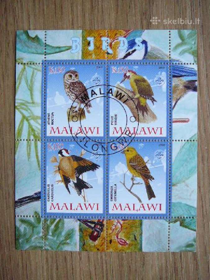 Peledos Pauksciai Malavis 2008 s255