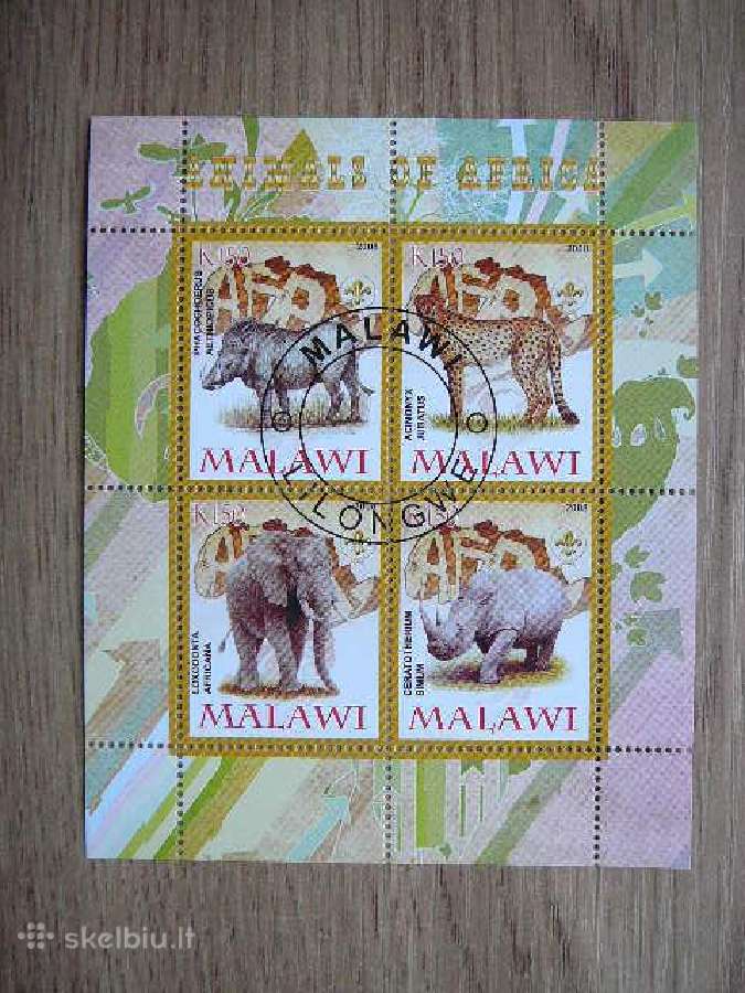 Dramblys Raganosis Sernas Malavis 2008 s251