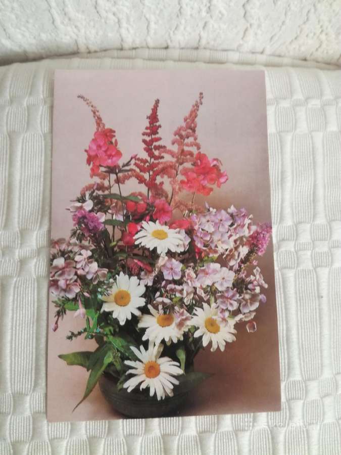 Daug metų turintys,kokybiški,įvairūs atvirukai - nuotraukos Nr. 30