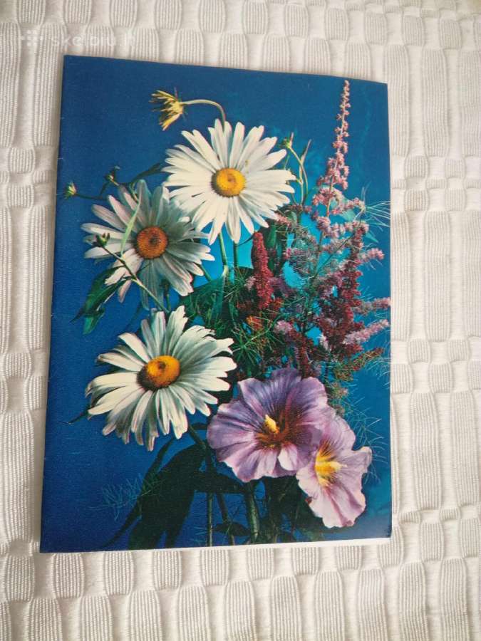 Dvipusiai seni,neužrašyti,įvairūs atvirukai - nuotraukos Nr. 19