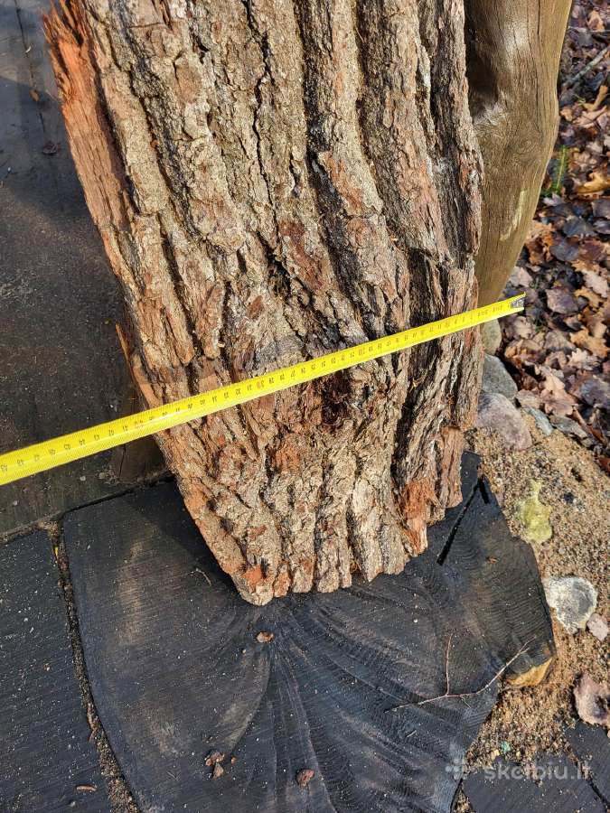 Naturali ekologiska draskikle katinui - nuotraukos Nr. 5
