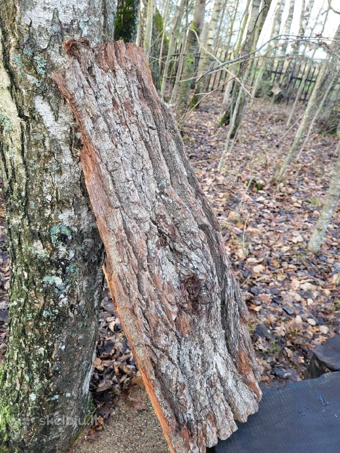 Naturali ekologiska draskikle katinui - nuotraukos Nr. 7