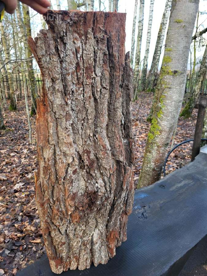 Naturali ekologiska draskikle katinui - nuotraukos Nr. 10