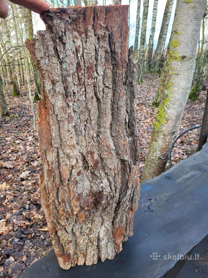 Naturali ekologiska draskikle katinui - nuotraukos Nr. 11