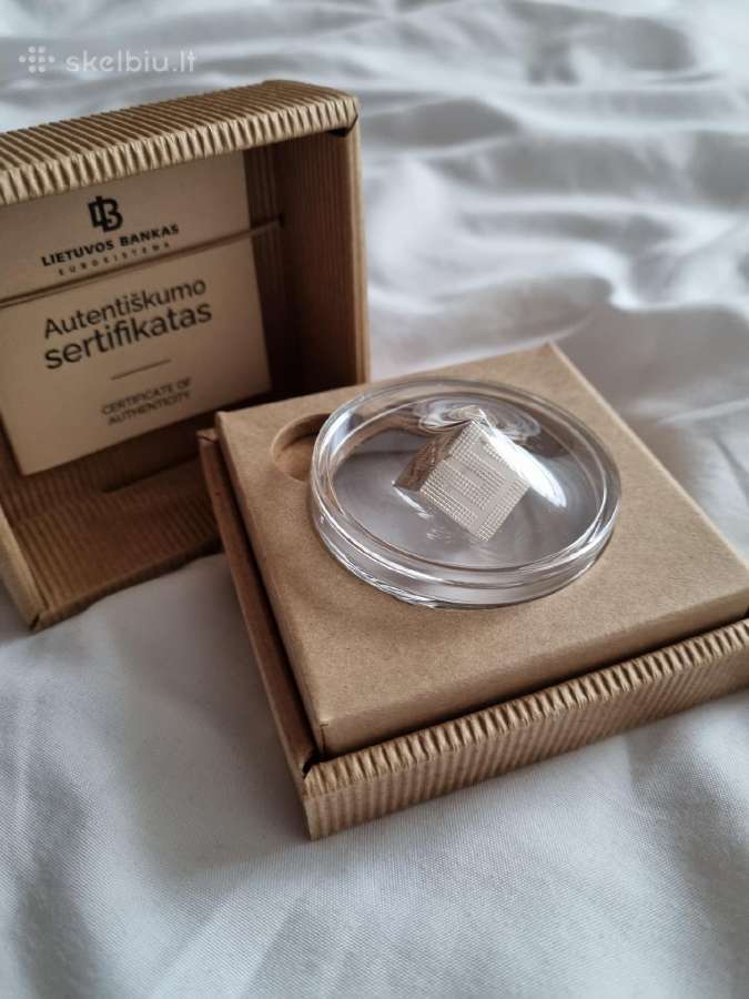 Sidabrine moneta dirbtiniam intelektui - nuotraukos Nr. 2