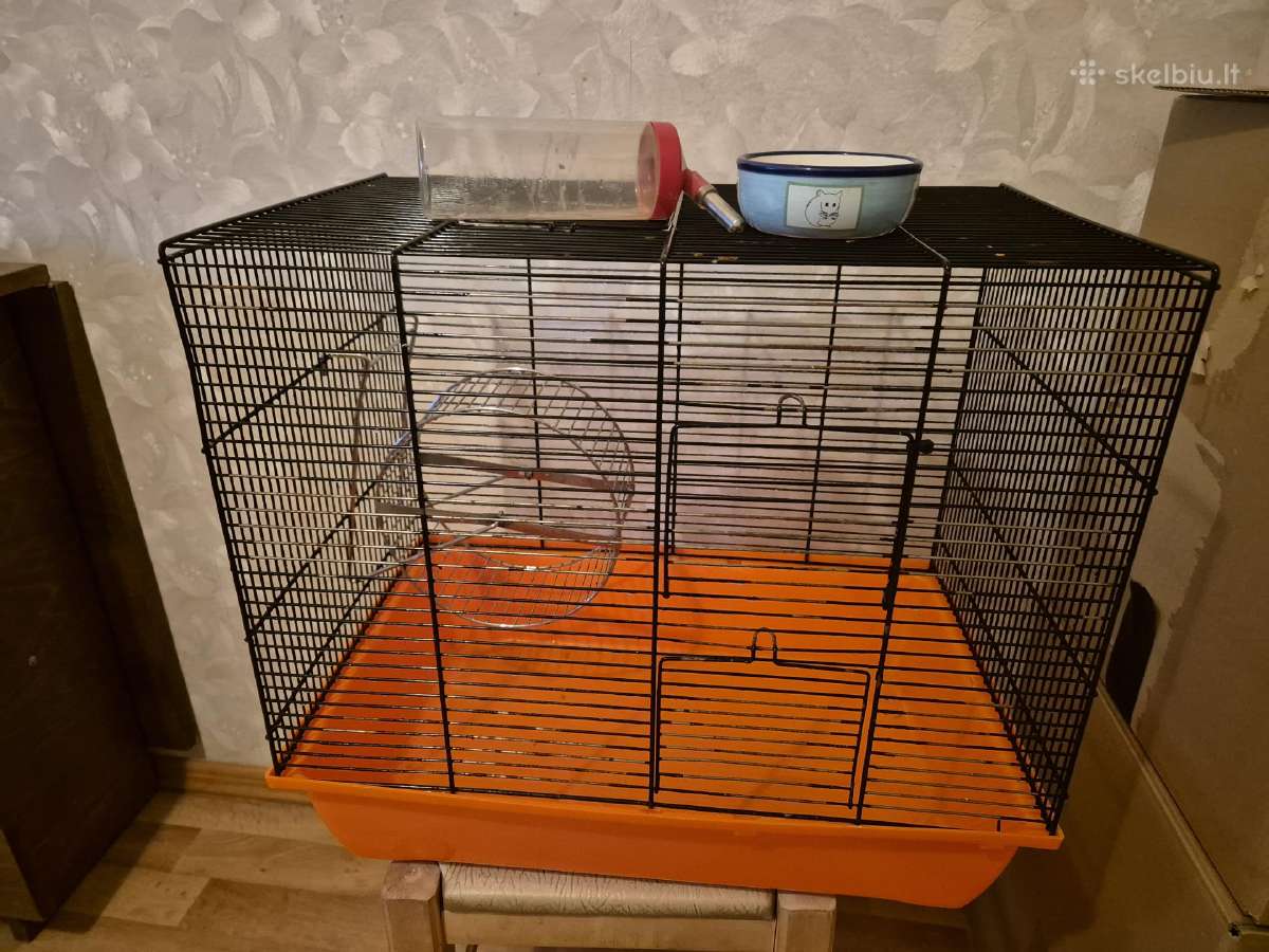 Narvas graužikams su priedais.