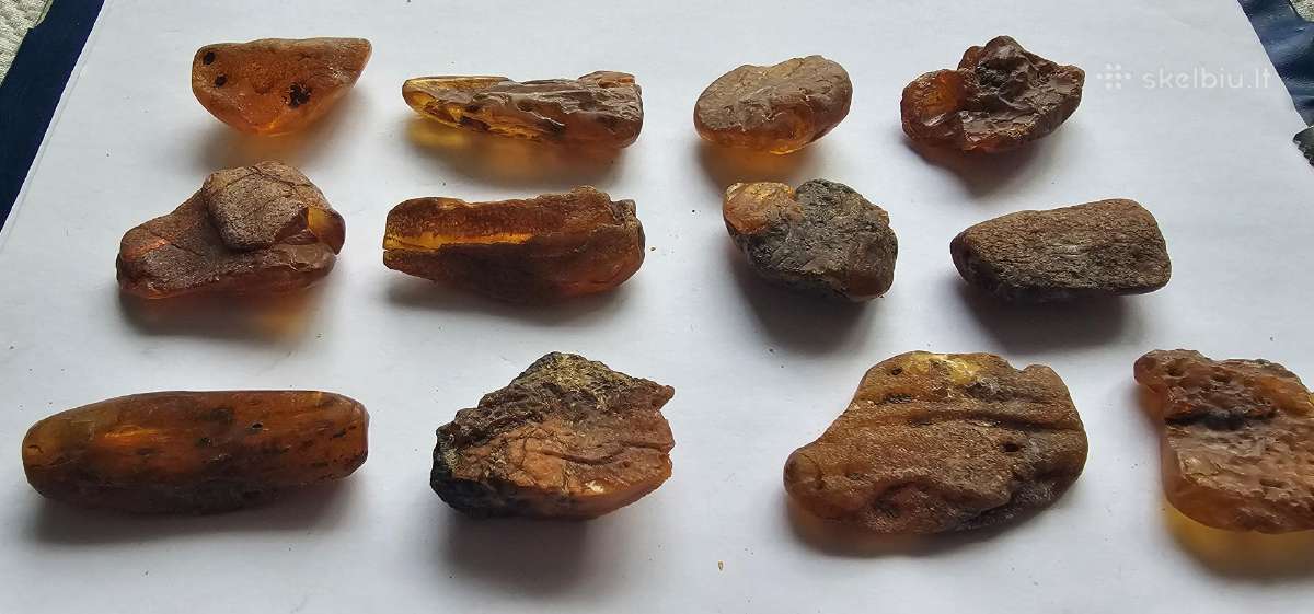 Jurinis gintaras 110gr dideli 8.5-10gr vnt - nuotraukos Nr. 3