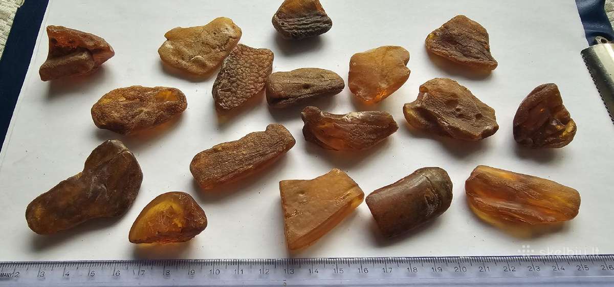 Jurinis gintaras 112gr dideli 5-8gr vnt - nuotraukos Nr. 3