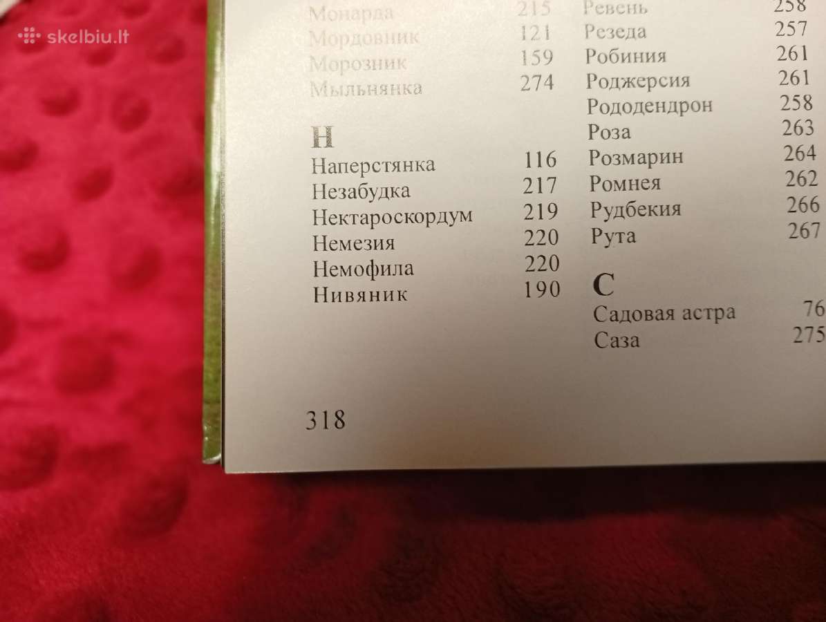 Knyga - nuotraukos Nr. 6