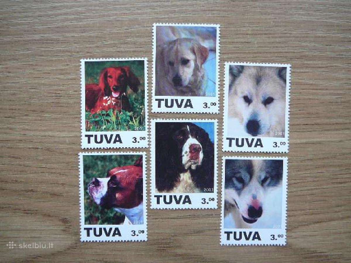 Sunys Tuva (R) 2001 svarus tuv11