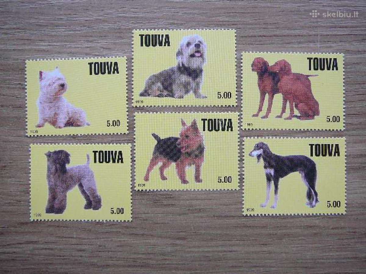 Sunys Tuva (R) 1999 svarus tuv12
