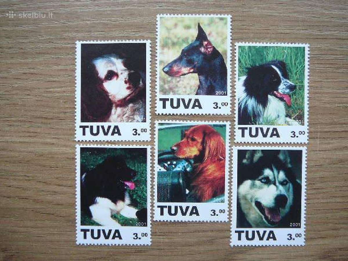 Sunys Tuva (R) 2001 svarus tuv14