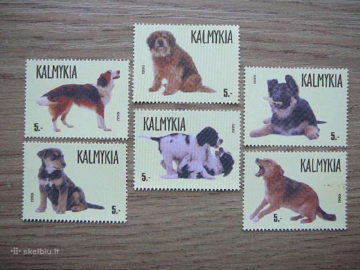 Sunys Kalmukija (R) 1999 svarus klm22