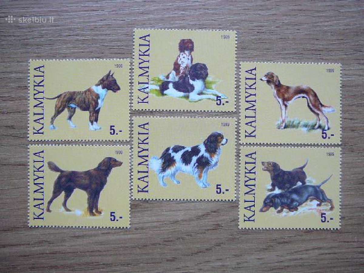 Sunys Kalmukija (R) 1999 svarus klm21