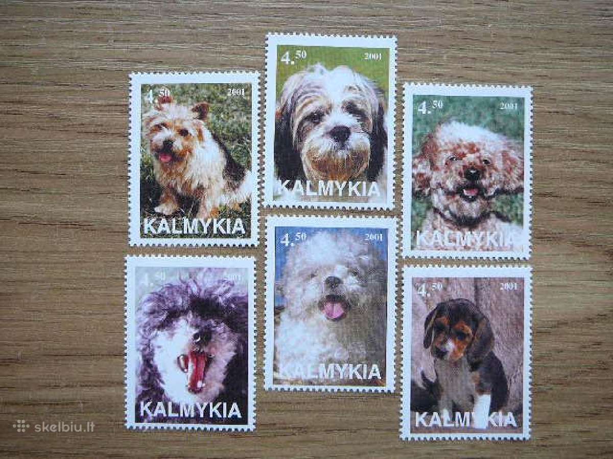 Sunys Kalmukija (R) 2001 svarus klm23