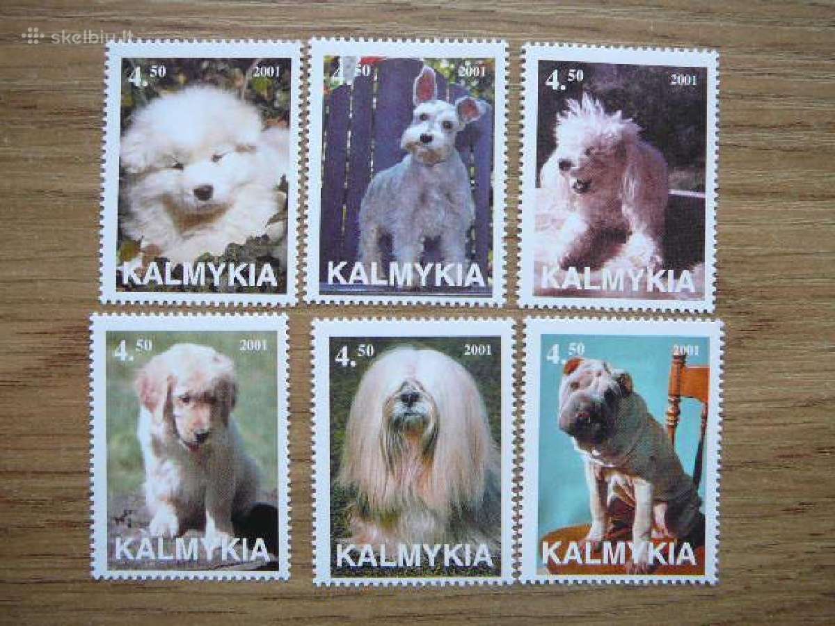 Sunys Kalmukija (R) 2001 svarus klm25